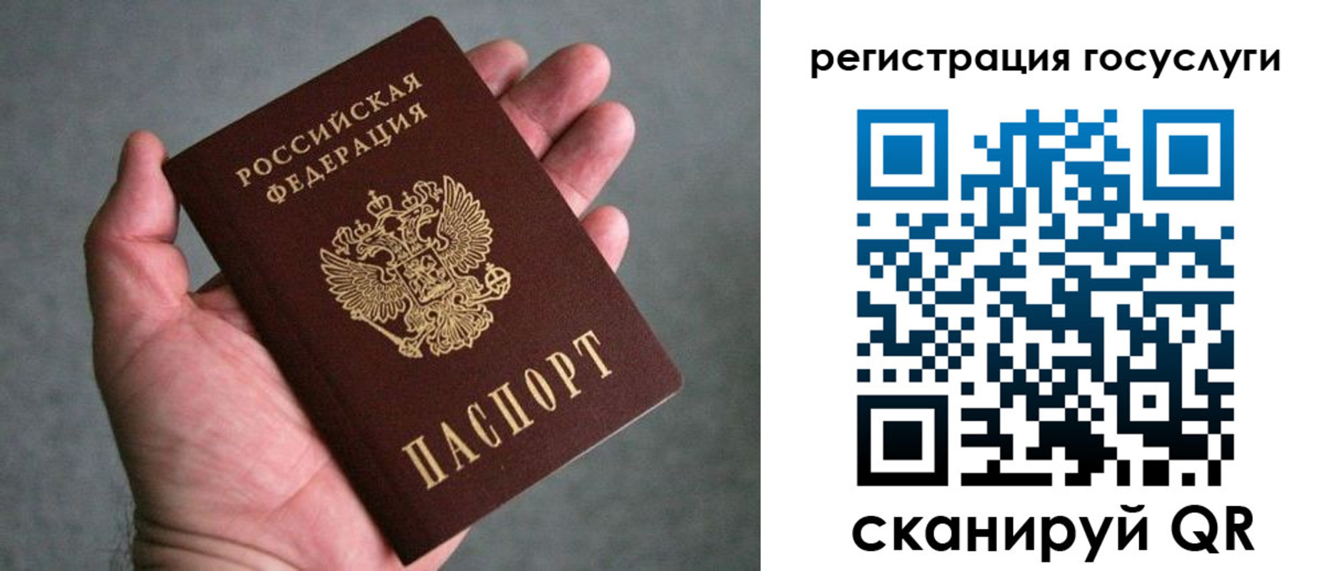 прописка поиск в Брянской области